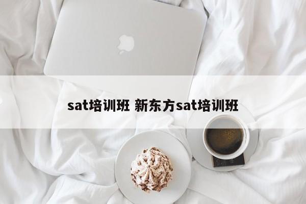 sat培训班 新东方sat培训班